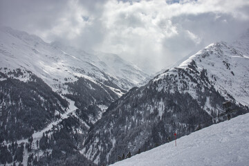 Fototapeta na wymiar snow mountain panorama with forest in alps