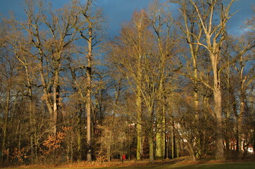 Fototapeta premium Autumn in castle garden in Vlasim,Czech Republic,Europe 