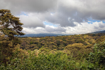 Ngorongoro crater wild life in tanzania