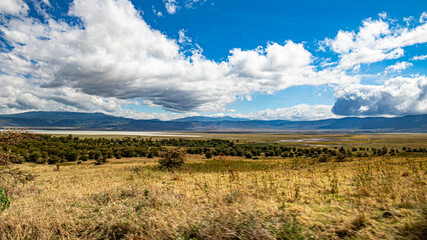 Ngorongoro crater wild life in tanzania