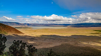 Ngorongoro crater wild life in tanzania