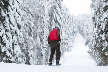 People ski in the winter in the forest.Cross country skilling.