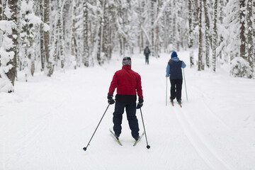 People ski in the winter in the forest.Cross country skilling.