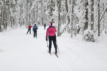 People ski in the winter in the forest.Cross country skilling.