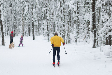 People ski in the winter in the forest.Cross country skilling.