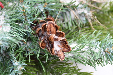 Snow on a Pine Cone