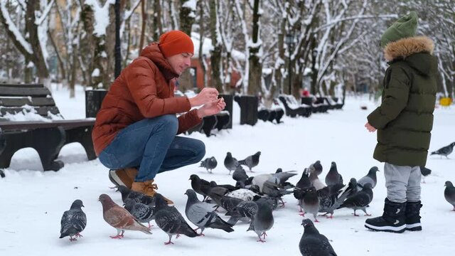 Little boy and dad are feeding pigeons. A child with his father in a winter park play with birds in the snow.
