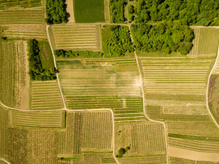 Drone / Aerial top down - fields of Rheinhessen close to Ingelheim - Großwinternheim,...
