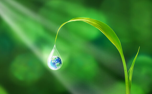 Earth in water drop reflection under green leaf in sunlight, Water and World sustainable environmental day concept, Elements of this image furnished by NASA