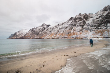 traveller walks along the popular tourist beach Ersfjord on Senja Island in northern Norway, just above the Arctic Circle. A sandy beach surrounded by snow-capped mountains. Exploring Norway