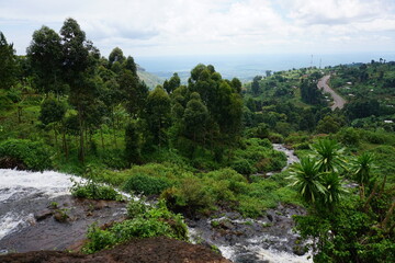 Picturesque view following the water from one of the Sipi Falls