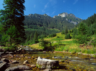 Koscielski stream, Koscieliska Valley, Tatry National Park, Poland
