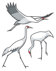 Stylized Birds - Whooping Crane