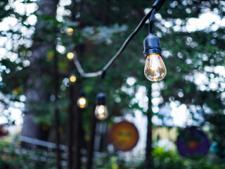 Lights hung in garden