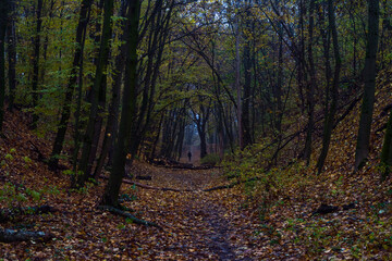 Autumn