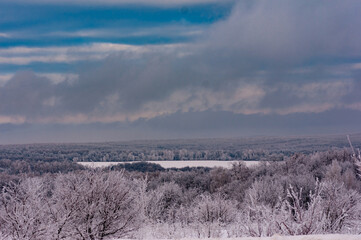 Winter forest in the village of Sosnovy Solonets, Samarskaya Luka National Park!