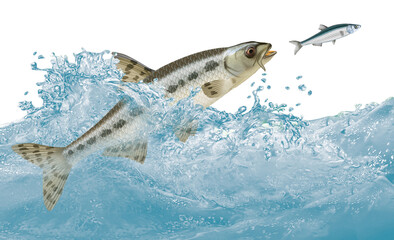 Fototapeta premium poisson, gounjon, attaque, évasion, vague, aliment, frais, blanc, fruits de mer, brut, pêche, sauvage, mer, ailette, sain, queue, attraper, truite, tête, nature, argent, fraîcheur, eau, repas