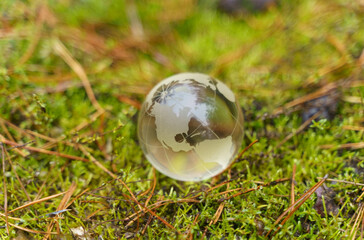 There is a glass globe on the green moss.