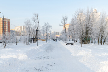 Fototapeta na wymiar Hoarfrost trees in boulevard in microdistrict 20 Zelenograd in Moscow, Russia