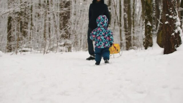 Daughter catches up with dad in the winter forest. Very long shot. 