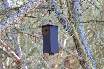 Wooden Nest Bird hanging from a pine tree