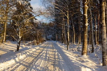 A snow - covered road in the forest