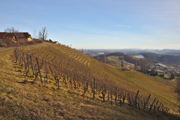 Fototapeta premium Sunny, spring landscape with South Styrian vineyards, known as Austrian Tuscany.A charming region on the border between Austria and Slovenia with rolling hills, picturesque villages and wine taverns.
