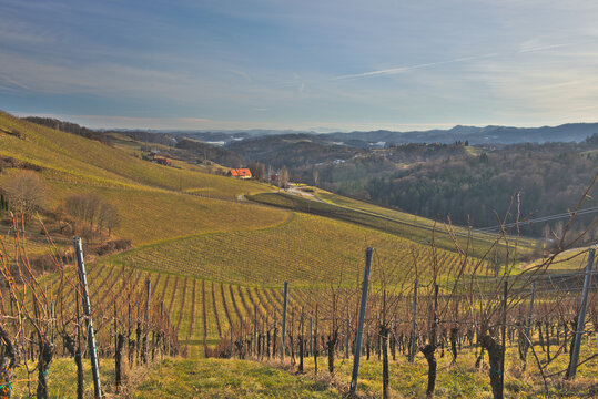 Sunny, spring  landscape with South Styrian vineyards, known as Austrian Tuscany.A charming region on the border between Austria and Slovenia with rolling hills, picturesque villages and wine taverns.