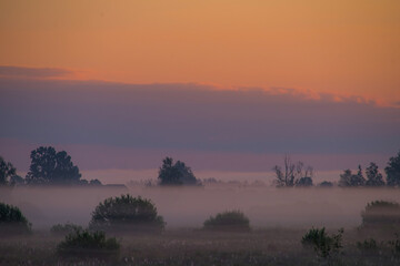 Dawn on a field with fog..
