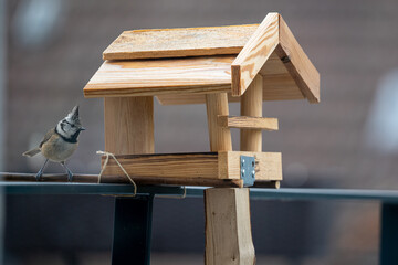 birdhouse