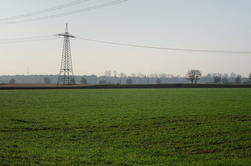 power lines in the field