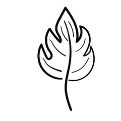 Hand drawn doodle leaf. Line palm leaf icon. Sketch black and white plant branch. Vector line art illustration isolated on white background.