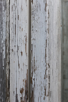 The old white grey wooden texture vintage or dirty