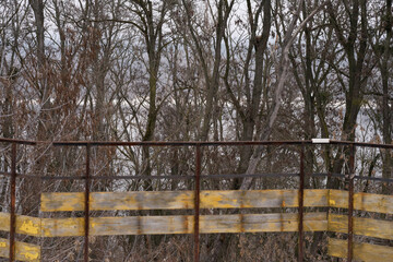 fence in winter