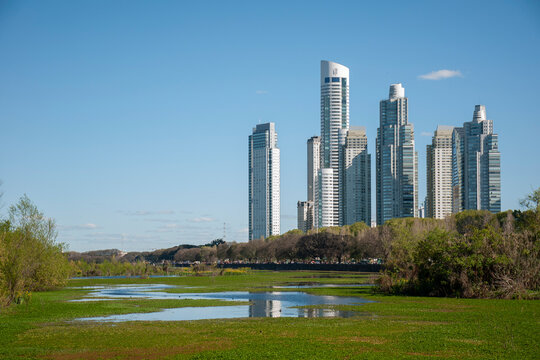 Puerto madero seen from the Costanera Sur Ecological Reserve