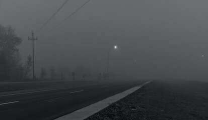 fog on the road