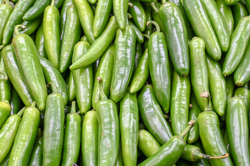 Green chili peppers. Fresh peppers for sale at vegetable market, close up. Boxes full of chili paprika in shop. Chili at the greengrocer's stall. Vegetable. 