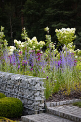 Modern gabion wall and natural stone stairs in a summer, quiet, full of flowers garden, on a beautiful, restful, sunny day.