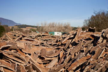 Stacked wood bark tree production for processing at industrial factory.