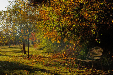 Sitzbank im Herbst