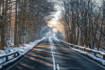 winter road in the fog