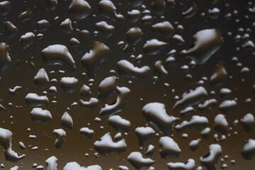 Raindrops on the window