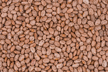 Food background of healthy dried brown and white  beans