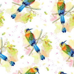 Seamless pattern with urquoise-browed motmot Little Bee-eater (Eumomota superciliosa) tropical exotic bird sitting on a branch on a white background