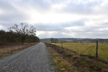 Hiking trail, gravel path in the former US base training area Brönnhof near Schweinfurt, Franconia, Bavaria Germany