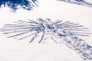 A flower or star patteern made in fresh new snow by a nordic skier (not in picture).