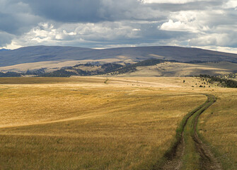 Fototapeta na wymiar Field road cuts through Montana prairie with darkening skies and hills beyond