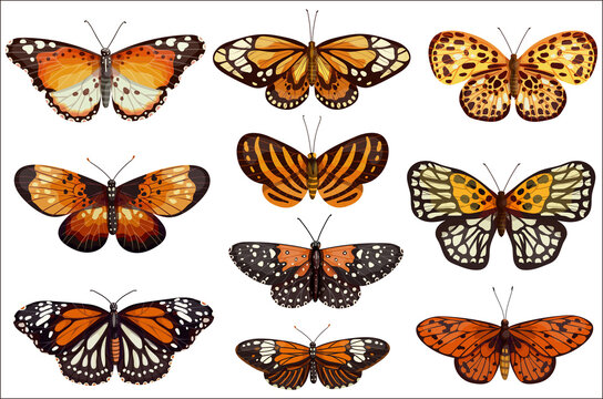 Set of bright cartoon butterflies. Vector graphics on a white background.