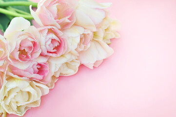 Blossoming white and light pink tulips, daffodils and spring flowers festive background, bright springtime bouquet floral card, selective focus