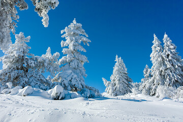 Winter landscape of Vitosha Mountain, Bulgaria